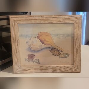 Barbara Fleri Seashell Art Print in Wooden Frame